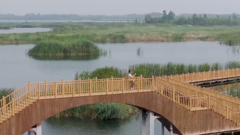 逛雄安VLOG丨與一位&ldquo;護鳥大使&rdquo;的特別會面